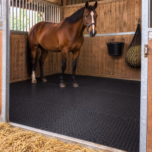 Actiasmat 34mm Interlocking EVA Horse Stable Mats 62x62cm – Cushioned Stable Flooring for Horses, Ponies, Horseboxes & Trailers